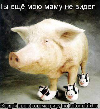 Ты ещё мою маму не видел... Котоматрица: Ты ещё мою маму не видел