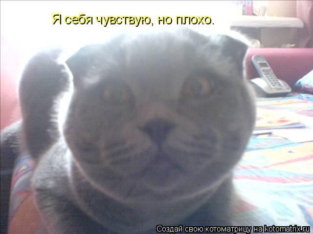 Я себя чувствую, но плохо.... Котоматрица: Я себя чувствую, но плохо.