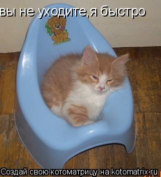 вы не уходите,я быстро... Котоматрица: вы не уходите,я быстро