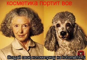 косметика портит все... Котоматрица: косметика портит все