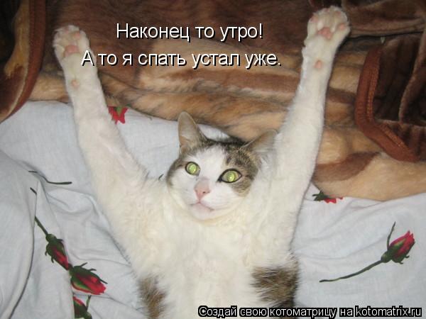 Наконец то утро! А то я спать устал уже.... Котоматрица: Наконец то утро! А то я спать устал уже.
