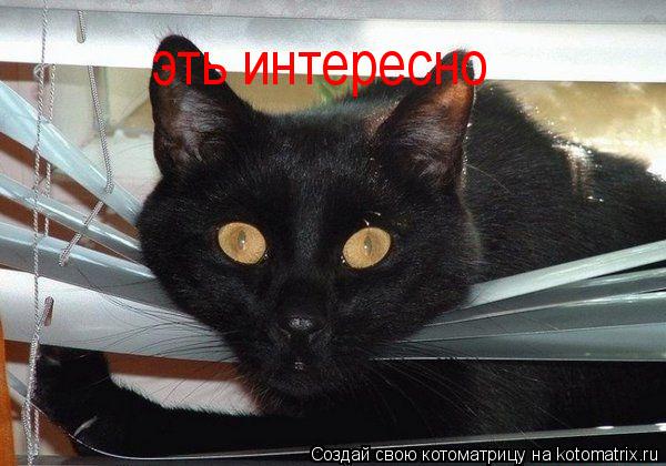 эть интересно... Котоматрица: эть интересно