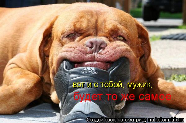 будет то же самое вот и с тобой, мужик,... Котоматрица: будет то же самое вот и с тобой, мужик,