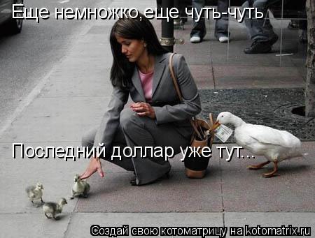 Еще немножко,еще чуть-чуть Последний доллар уже тут...... Котоматрица: Еще немножко,еще чуть-чуть Последний доллар уже тут...