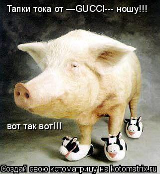 Тапки тока от ---GUCCI--- ношу!!! вот так вот!!!... Котоматрица: Тапки тока от ---GUCCI--- ношу!!! вот так вот!!!