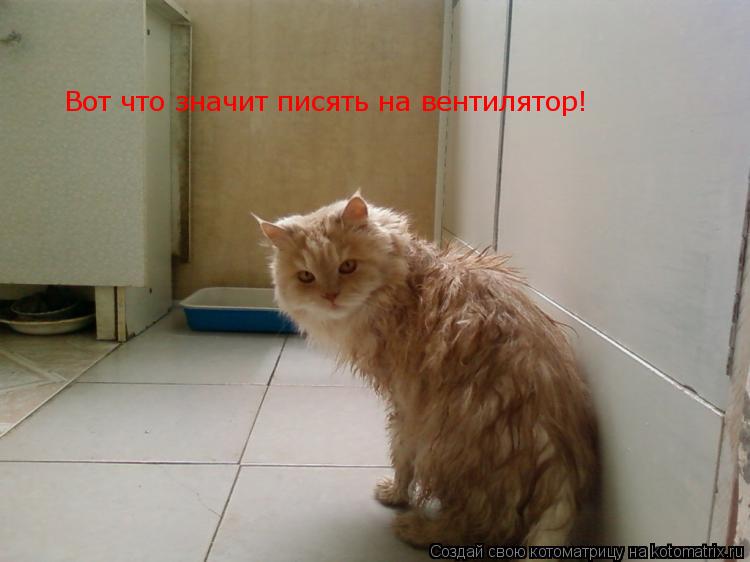 Вот что значит писять на вентилятор!... Котоматрица: Вот что значит писять на вентилятор!