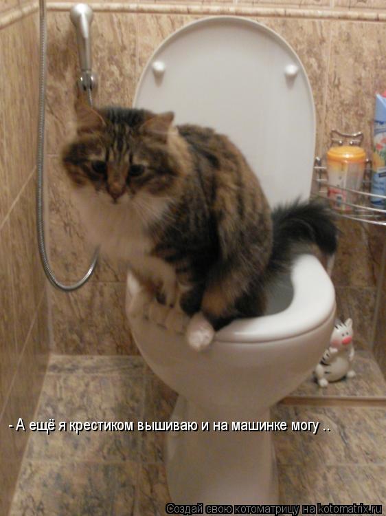 - А ещё я крестиком вышиваю и на машинке могу ..... Котоматрица: - А ещё я крестиком вышиваю и на машинке могу ..
