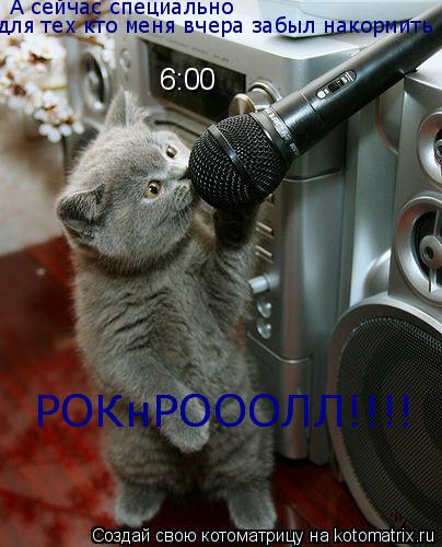 6:00 А сейчас специально для тех кто меня вчера забыл накормить РОКнРОООЛЛ!!!! РОКнРОООЛЛ!!!!... Котоматрица: 6:00 А сейчас специально для тех кто меня вчера забыл накормить РОКнРОООЛЛ!!!! РОКнРОООЛЛ!!!!