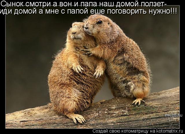 Сынок смотри а вон и папа наш домой ползет- иди домой а мне с папой еше поговорить нужно!!!... Котоматрица: Сынок смотри а вон и папа наш домой ползет- иди домой а мне с папой еше поговорить нужно!!!