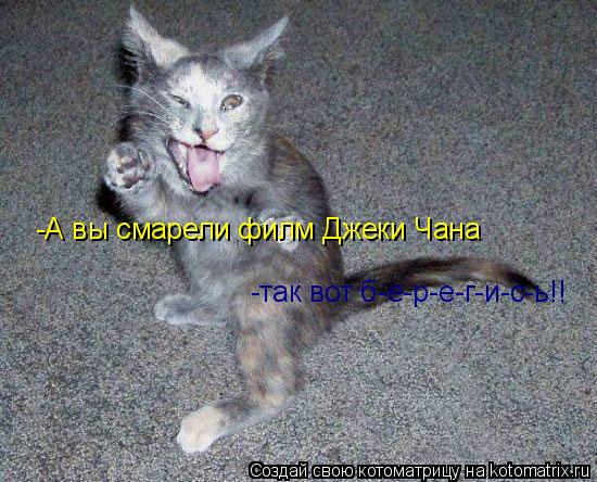 -А вы смарели филм Джеки Чана -так вот б-е-р-е-г-и-с-ь!!... Котоматрица: -А вы смарели филм Джеки Чана -так вот б-е-р-е-г-и-с-ь!!