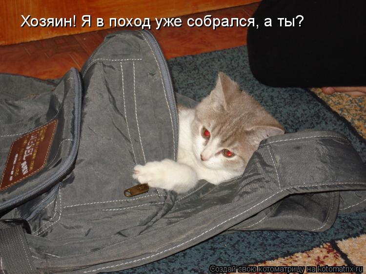 Хозяин! Я в поход уже собрался, а ты?... Котоматрица: Хозяин! Я в поход уже собрался, а ты?