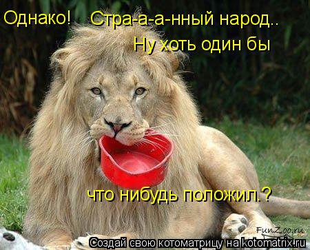 Стра-а-а-нный народ.. Ну хоть один бы что нибудь положил.? Однако!... Котоматрица: Стра-а-а-нный народ.. Ну хоть один бы что нибудь положил.? Однако!