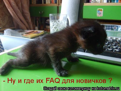 - Ну и где их FAQ для новичков ?... Котоматрица: - Ну и где их FAQ для новичков ?