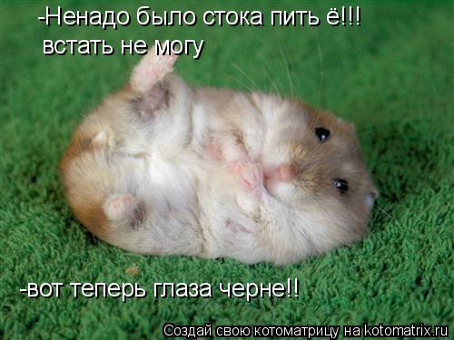 -Ненадо было стока пить ё!!! -вот теперь глаза черне!! встать не могу... Котоматрица: -Ненадо было стока пить ё!!! -вот теперь глаза черне!! встать не могу