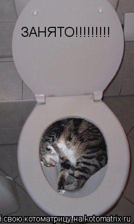 ЗАНЯТО!!!!!!!!!... Котоматрица: ЗАНЯТО!!!!!!!!!