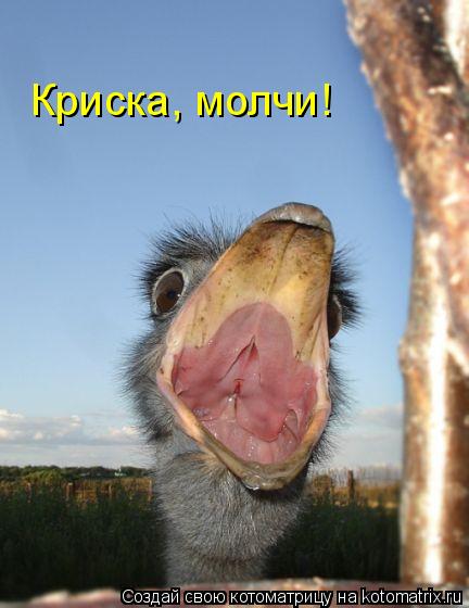 Криска, молчи!... Котоматрица: Криска, молчи!