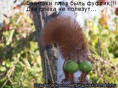Флё-таки плав быль фуфлик!!! Два олеха не полезут...... Котоматрица: Флё-таки плав быль фуфлик!!! Два олеха не полезут...