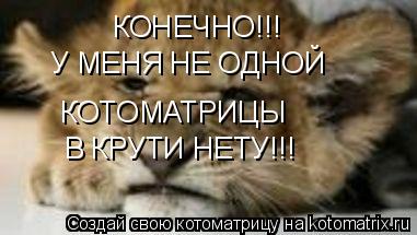 КОНЕЧНО!!! У МЕНЯ НЕ ОДНОЙ КОТОМАТРИЦЫ В КРУТИ НЕТУ!!!... Котоматрица: КОНЕЧНО!!! У МЕНЯ НЕ ОДНОЙ КОТОМАТРИЦЫ В КРУТИ НЕТУ!!!