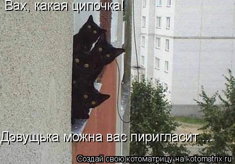 Вах, какая ципочка! Дэвущька можна вас пиригласит ...... Котоматрица: Вах, какая ципочка! Дэвущька можна вас пиригласит ...