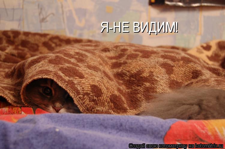 Я-НЕ ВИДИМ!... Котоматрица: Я-НЕ ВИДИМ!