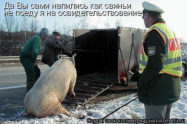 Да Вы сами напились как свиньи не поеду я на освидетельствование!... Котоматрица: Да Вы сами напились как свиньи не поеду я на освидетельствование!