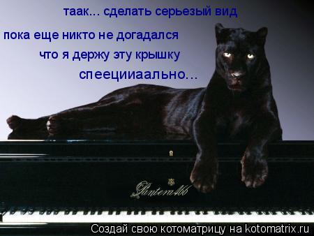 таак... сделать серьезый вид пока еще никто не догадался что я держу эту крышку спеецииаально...... Котоматрица: таак... сделать серьезый вид пока еще никто не догадался что я держу эту крышку спеецииаально...