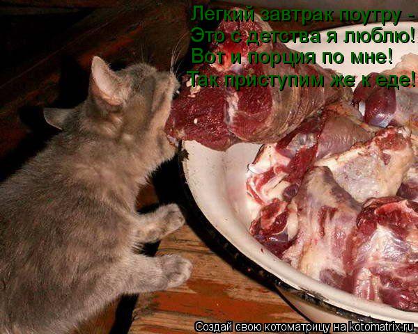Легкий завтрак поутру - Это с детства я люблю! Вот и порция по мне! Так приступим же к еде!... Котоматрица: Легкий завтрак поутру - Это с детства я люблю! Вот и порция по мне! Так приступим же к еде!
