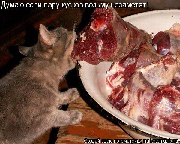 Думаю если пару кусков возьму незаметят!... Котоматрица: Думаю если пару кусков возьму незаметят!