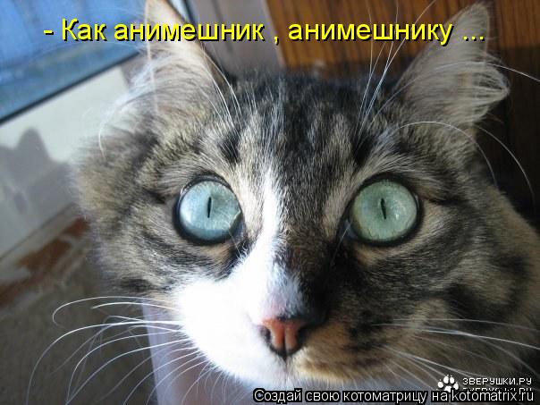 - Как анимешник , анимешнику ...... Котоматрица: - Как анимешник , анимешнику ...