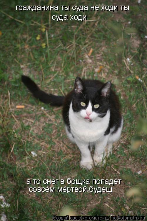 гражданина ты суда не ходи ты суда ходи а то снег в бощка попадёт совсем мёртвой будеш... Котоматрица: гражданина ты суда не ходи ты суда ходи а то снег в бощка попадёт совсем мёртвой будеш