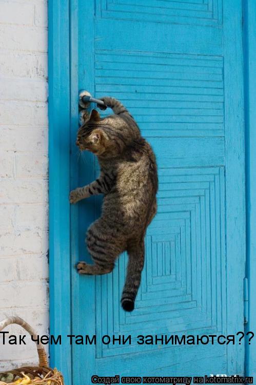 Так чем там они занимаются??... Котоматрица: Так чем там они занимаются??