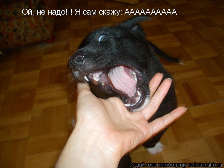Ой, не надо!!! Я сам скажу: АААААААААА... Котоматрица: Ой, не надо!!! Я сам скажу: АААААААААА