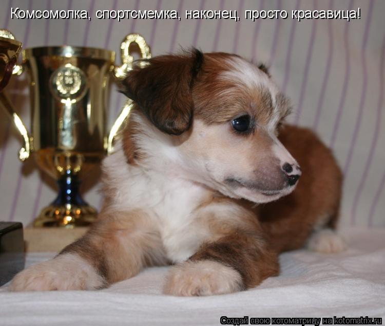 Комсомолка, спортсмемка, наконец, просто красавица!... Котоматрица: Комсомолка, спортсмемка, наконец, просто красавица!