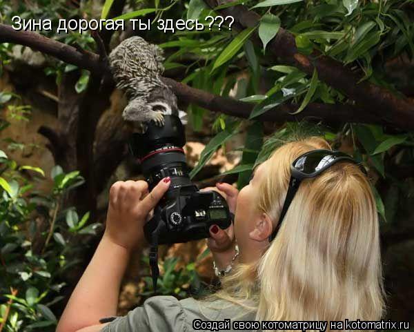 Зина дорогая ты здесь???... Котоматрица: Зина дорогая ты здесь???