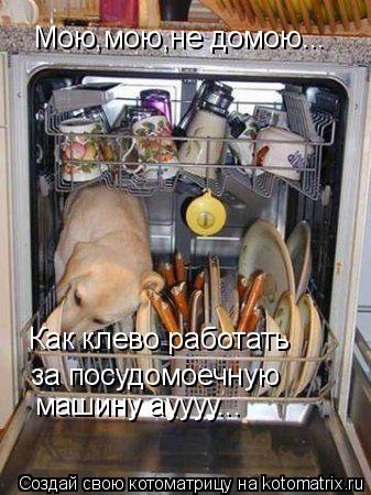 Мою,мою,не домою... Как клево работать за посудомоечную машину ауууу...... Котоматрица: Мою,мою,не домою... Как клево работать за посудомоечную машину ауууу...