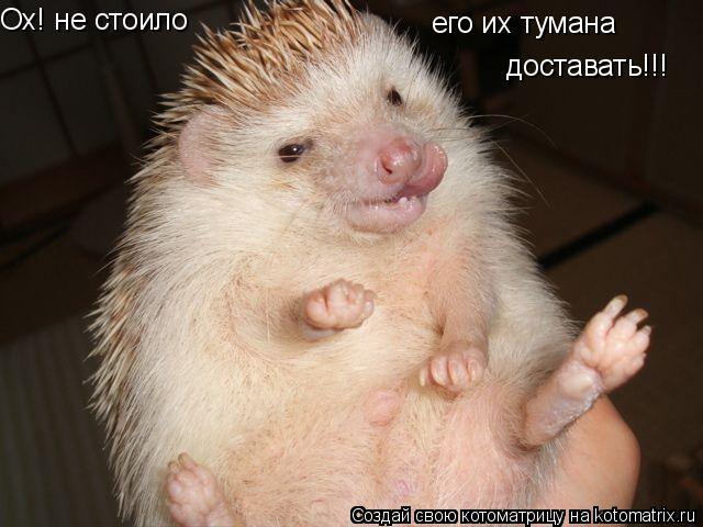Ох! не стоило его их тумана доставать!!!... Котоматрица: Ох! не стоило его их тумана доставать!!!