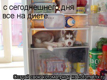 с сегоднешнего дня все на диете...... Котоматрица: с сегоднешнего дня все на диете...