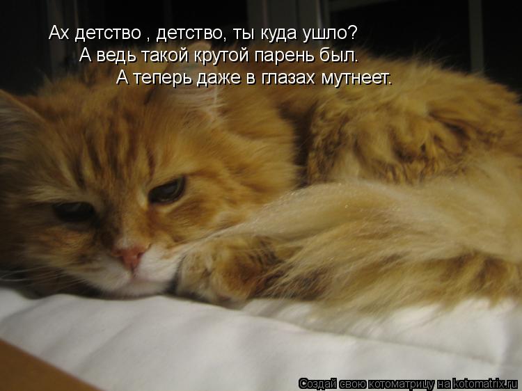 Ах детство , детство, ты куда ушло? А ведь такой крутой парень был. А теперь даже в глазах мутнеет.... Котоматрица: Ах детство , детство, ты куда ушло? А ведь такой крутой парень был. А теперь даже в глазах мутнеет.