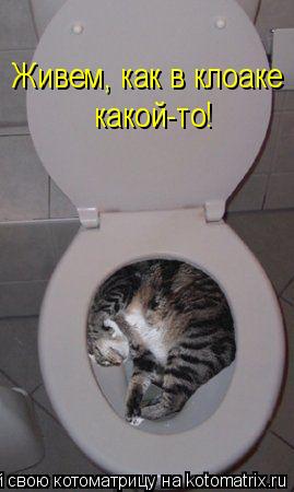 Живем, как в клоаке какой-то!... Котоматрица: Живем, как в клоаке какой-то!
