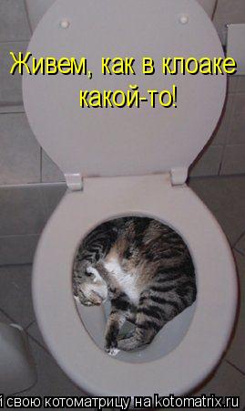 Котоматрица: Живем, как в клоаке какой-то!