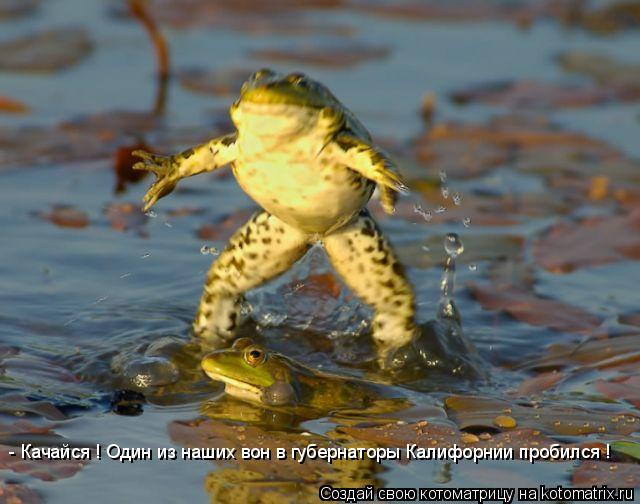 - Качайся ! Один из наших вон в губернаторы Калифорнии пробился !... Котоматрица: - Качайся ! Один из наших вон в губернаторы Калифорнии пробился !