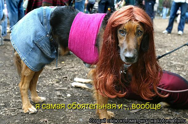 я самая обоятельная и ,,,вообще... Котоматрица: я самая обоятельная и ,,,вообще