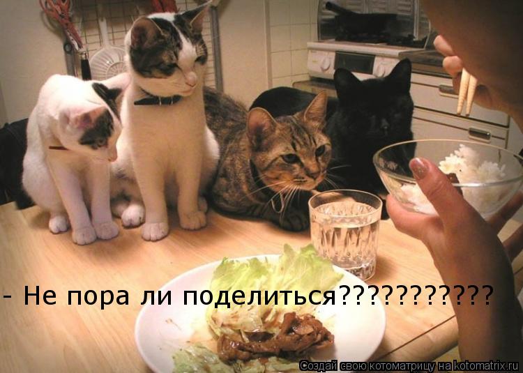 - Не пора ли поделиться???????????... Котоматрица: - Не пора ли поделиться???????????