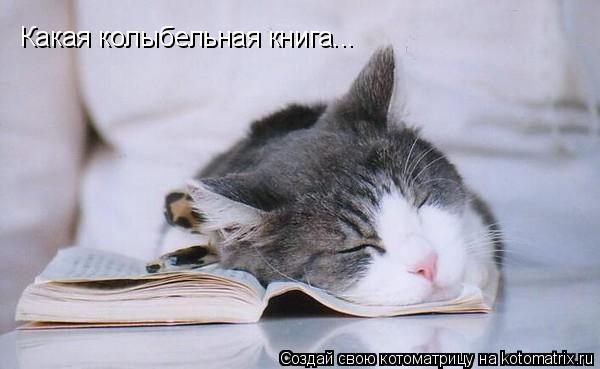 Какая колыбельная книга...... Котоматрица: Какая колыбельная книга...