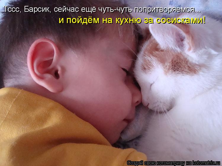 Тссс, Барсик, сейчас ещё чуть-чуть попритворяемся... и пойдём на кухню за сосисками!... Котоматрица: Тссс, Барсик, сейчас ещё чуть-чуть попритворяемся... и пойдём на кухню за сосисками!