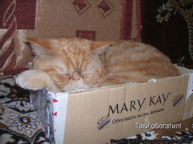 Таки обогатил!... Котоматрица: Таки обогатил!