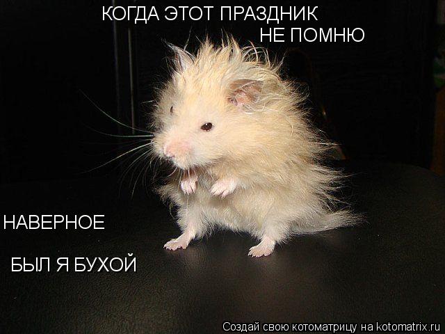 КОГДА ЭТОТ ПРАЗДНИК НЕ ПОМНЮ НАВЕРНОЕ БЫЛ Я БУХОЙ... Котоматрица: КОГДА ЭТОТ ПРАЗДНИК НЕ ПОМНЮ НАВЕРНОЕ БЫЛ Я БУХОЙ