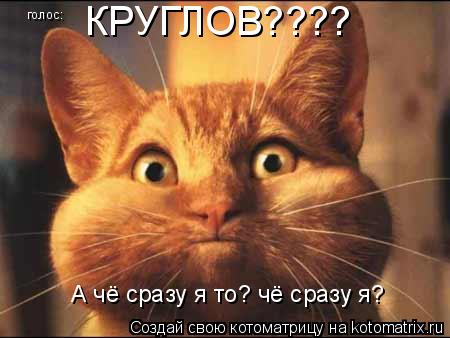 голос: КРУГЛОВ???? А чё сразу я то? чё сразу я?... Котоматрица: голос: КРУГЛОВ???? А чё сразу я то? чё сразу я?