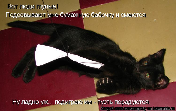 Вот люди глупые! Подсовывают мне бумажную бабочку и смеются. Ну ладно уж... подиграю им - пусть порад... Котоматрица: Вот люди глупые! Подсовывают мне бумажную бабочку и смеются. Ну ладно уж... подиграю им - пусть порадуются.