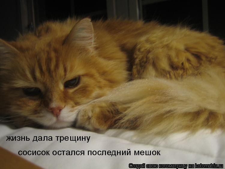 жизнь дала трещину сосисок остался последний мешок... Котоматрица: жизнь дала трещину сосисок остался последний мешок